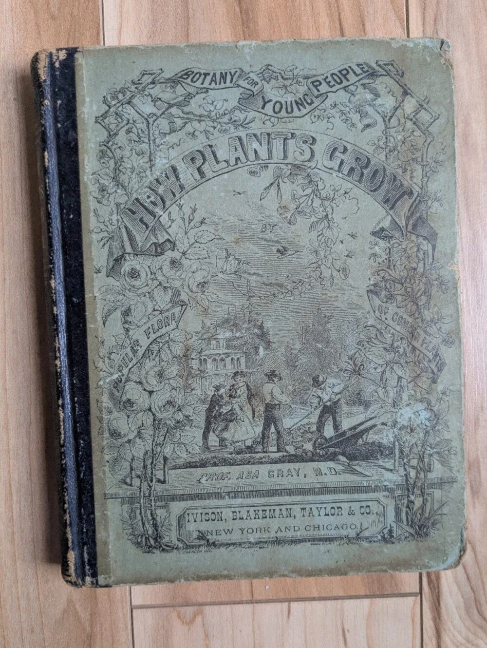 1875 HOW PLANTS GROW Botany For Young People & Common Schools Asa Gray 1st Ed.